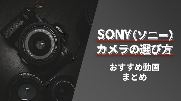 SONY（ソニー）カメラの“選び方”おすすめ動画